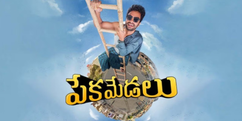 Pekamedalu: Honest Review, Cast, IMDb Rating, Budget & Box Office Success
