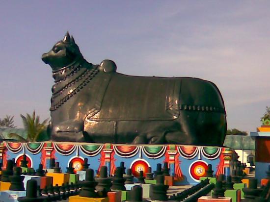 Music and Cinematography